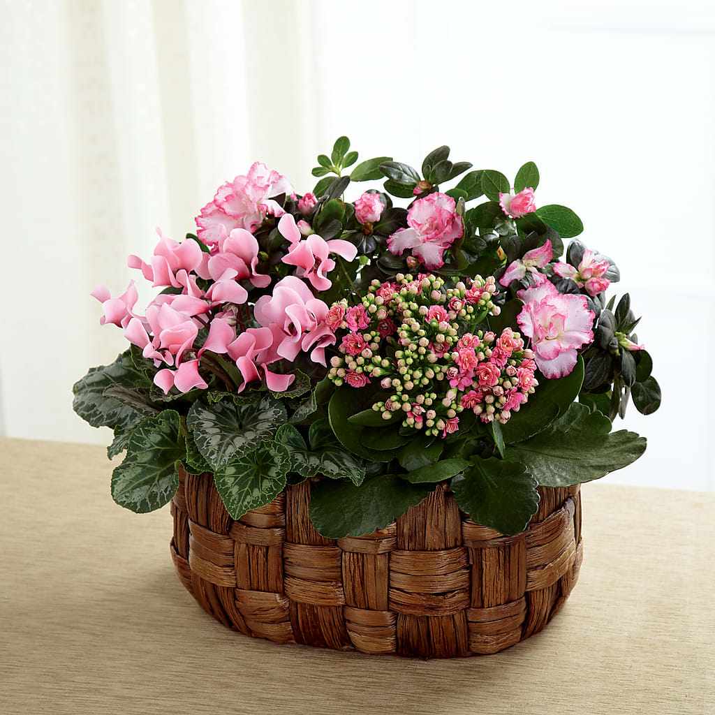 Pink Assortment – Flowers By Willie, Marshall TX