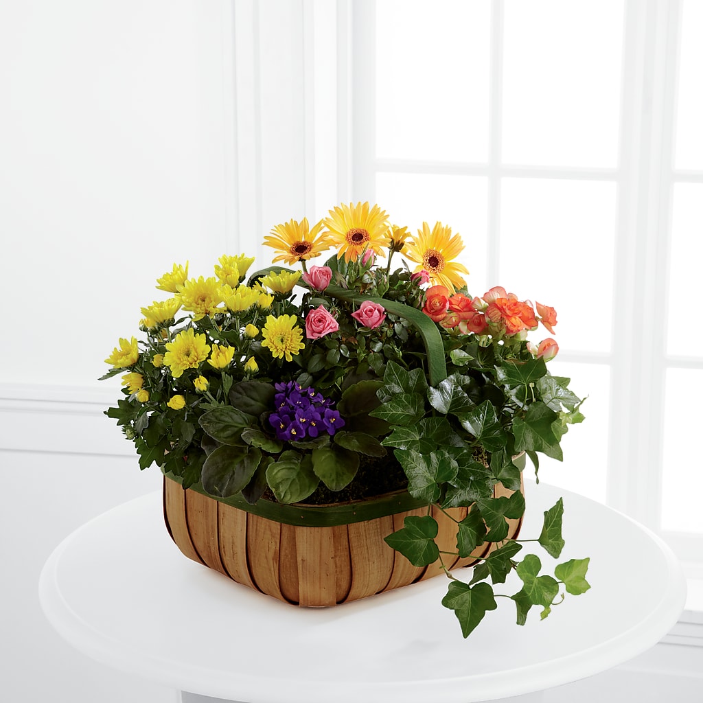 Gentle Blossoms Basket – Flowers By Willie, Marshall TX