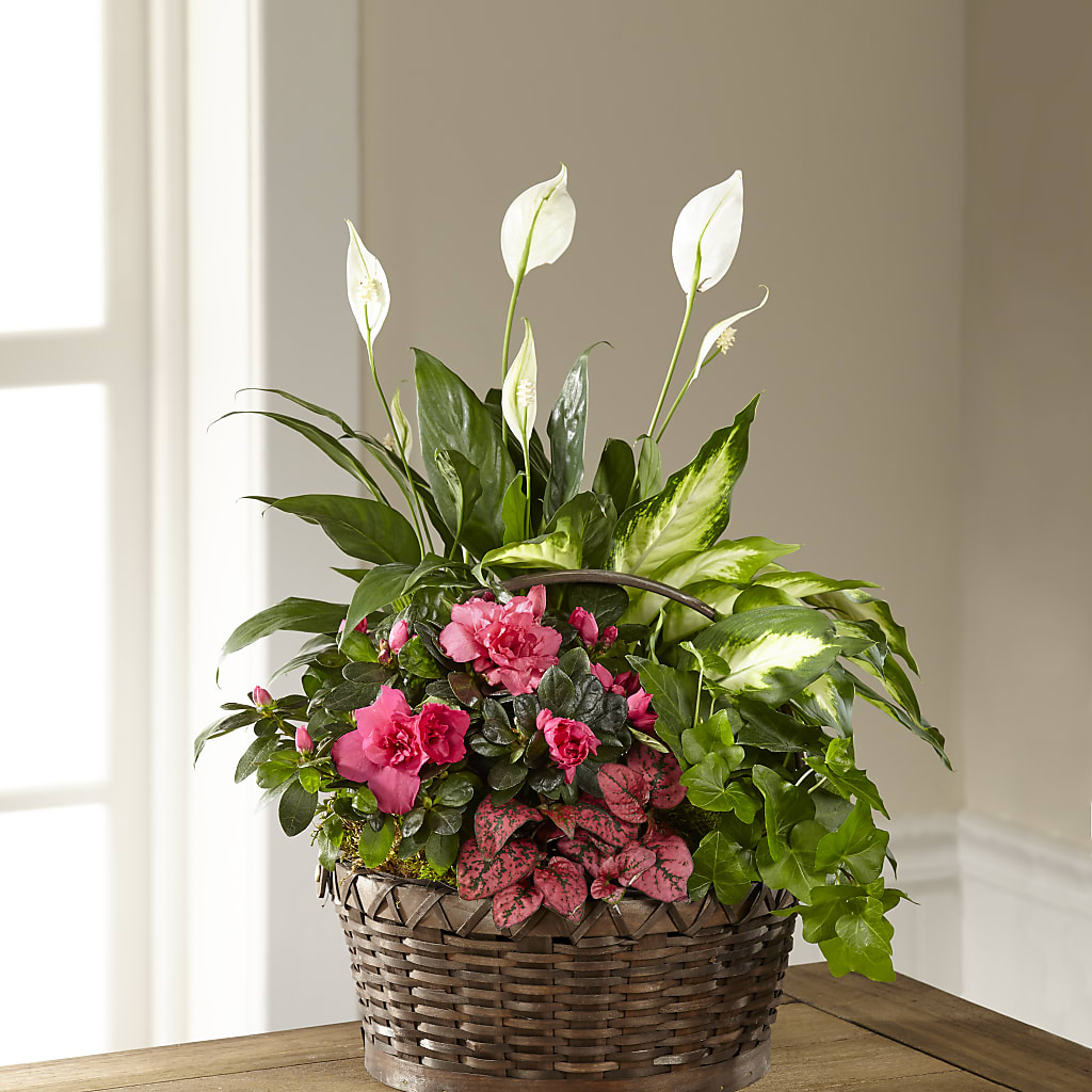 Dream in Pink Dishgarden – Flowers By Willie, Marshall TX