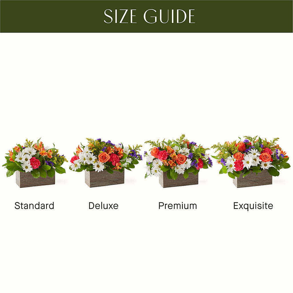 Oopsie Daisy Box Bouquet – Flowers By Willie, Marshall TX