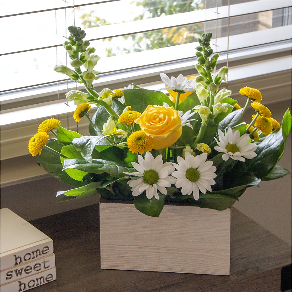 Sun Salutation Box Bouquet – Flowers By Willie, Marshall TX