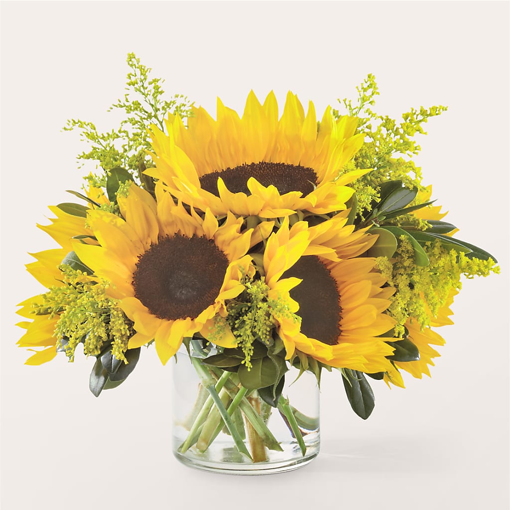 Beaming Sunflower Bouquet – Flowers By Willie, Marshall TX