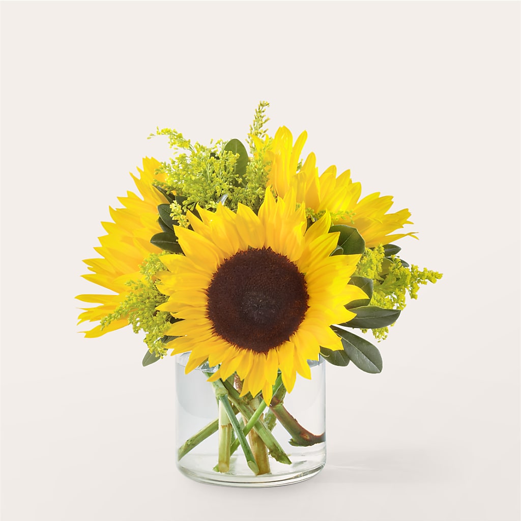 Beaming Sunflower Bouquet – Flowers By Willie, Marshall TX