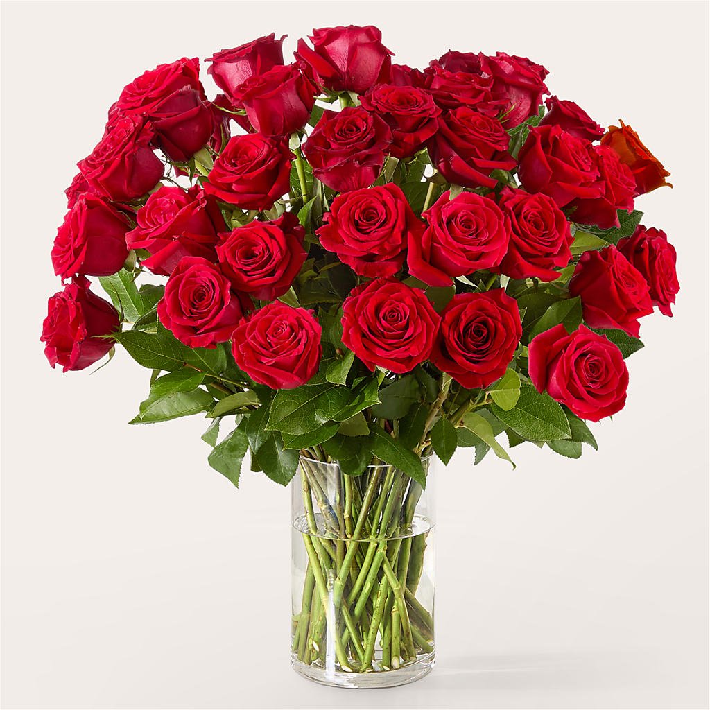 The One Red Rose Bouquet – Flowers By Willie, Marshall TX