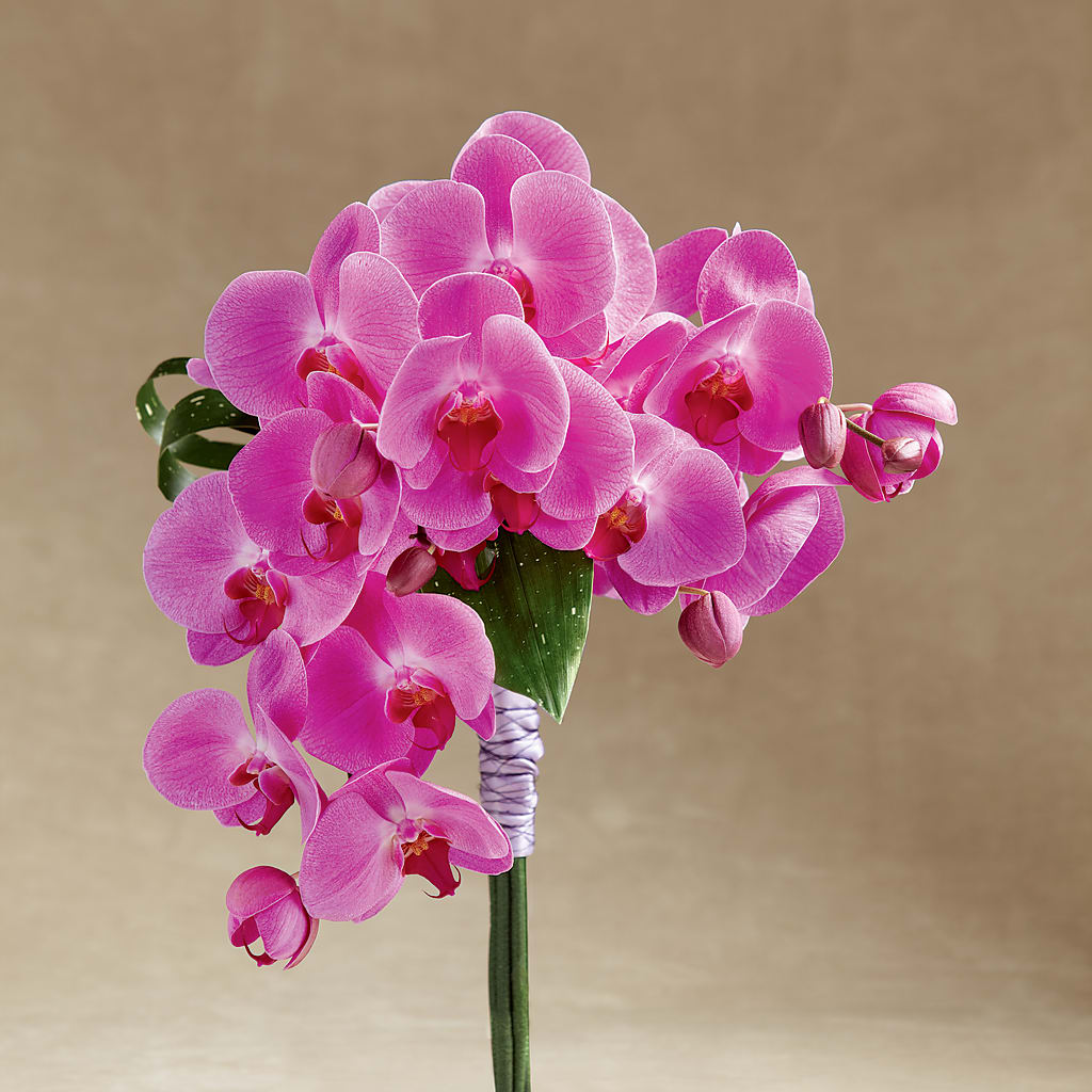 Glorious Bouquet – Flowers By Willie, Marshall TX