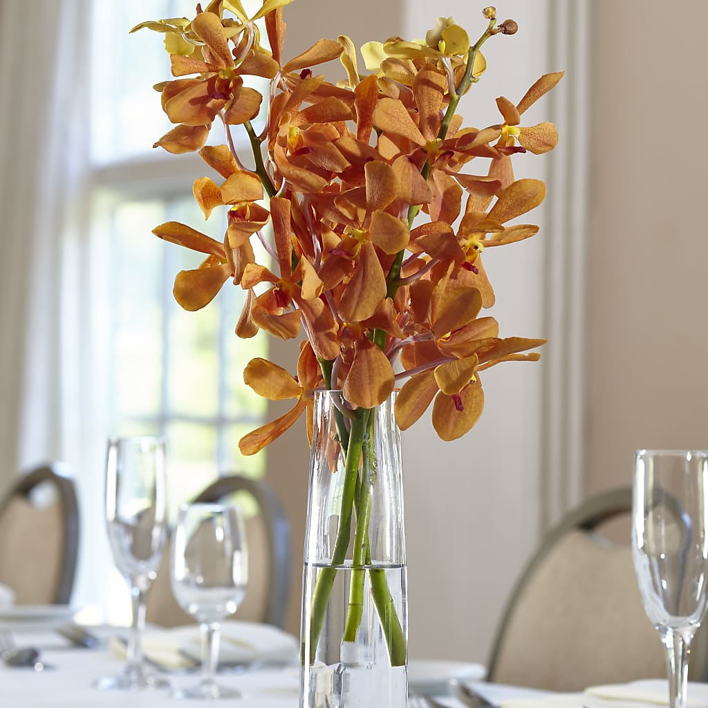 Orange Mokara Bud Vase – Flowers By Willie, Marshall TX