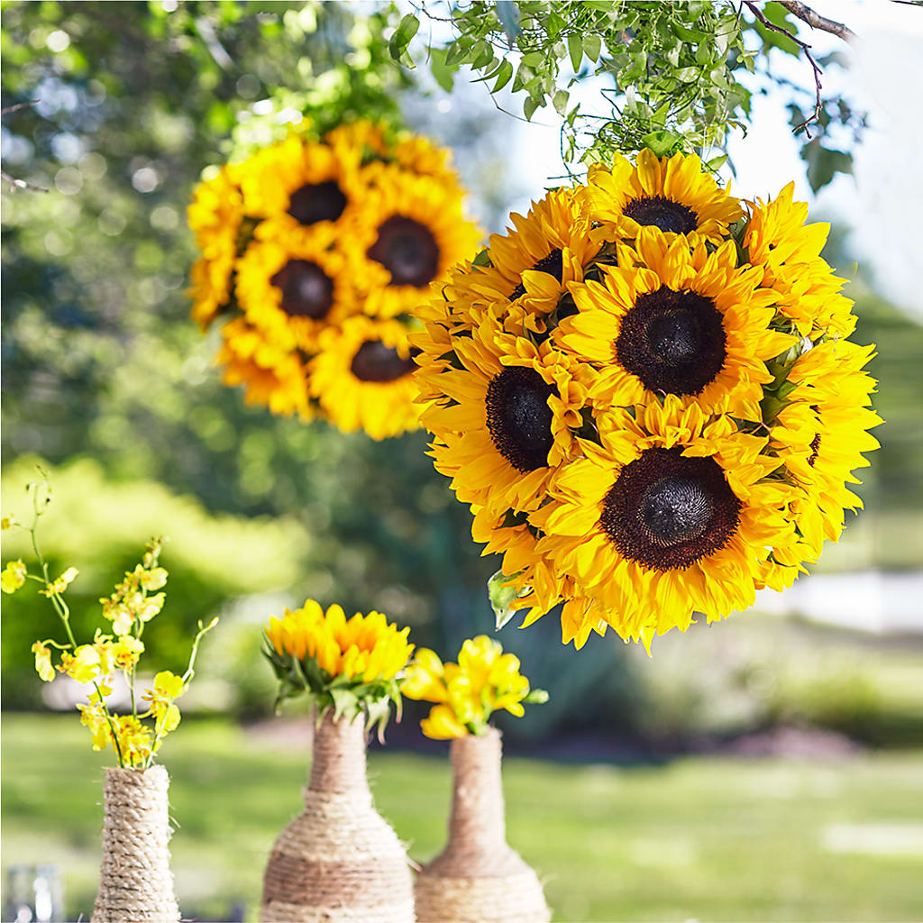 Sublime Garden Hanging Arrangement – Flowers By Willie, Marshall TX