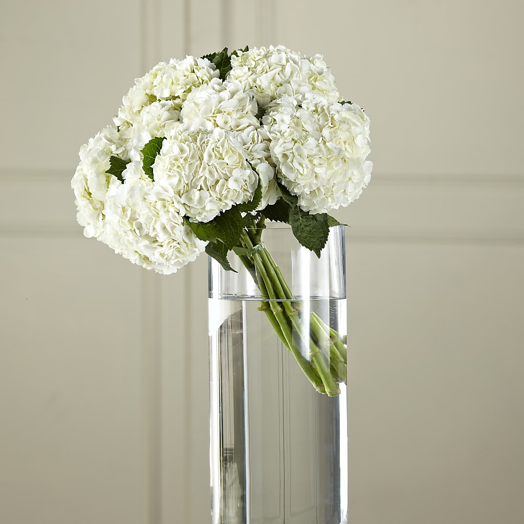 White Hydrangea Hand-Tied Bouquet – Flowers By Willie, Marshall TX