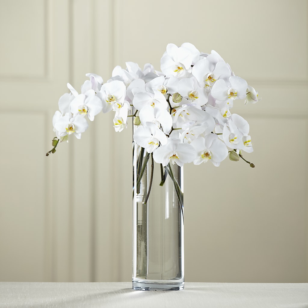 White Phalaenopsis Bouquet – Flowers By Willie, Marshall TX
