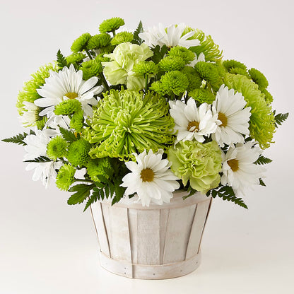 Lucky Charm Basket (Standard) –  Flowers By Willie, Marshall TX