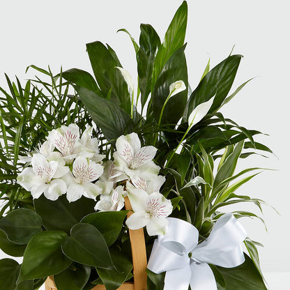 Peace & Serenity Dishgarden –  Flowers By Willie, Marshall TX