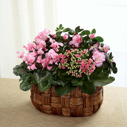 Pink Assortment –  Flowers By Willie, Marshall TX