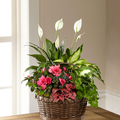 Dream in Pink Dishgarden –  Flowers By Willie, Marshall TX