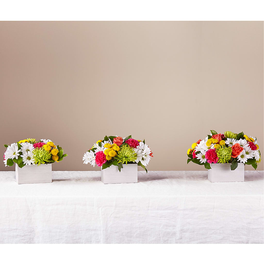 Sorbet Bouquet –  Flowers By Willie, Marshall TX