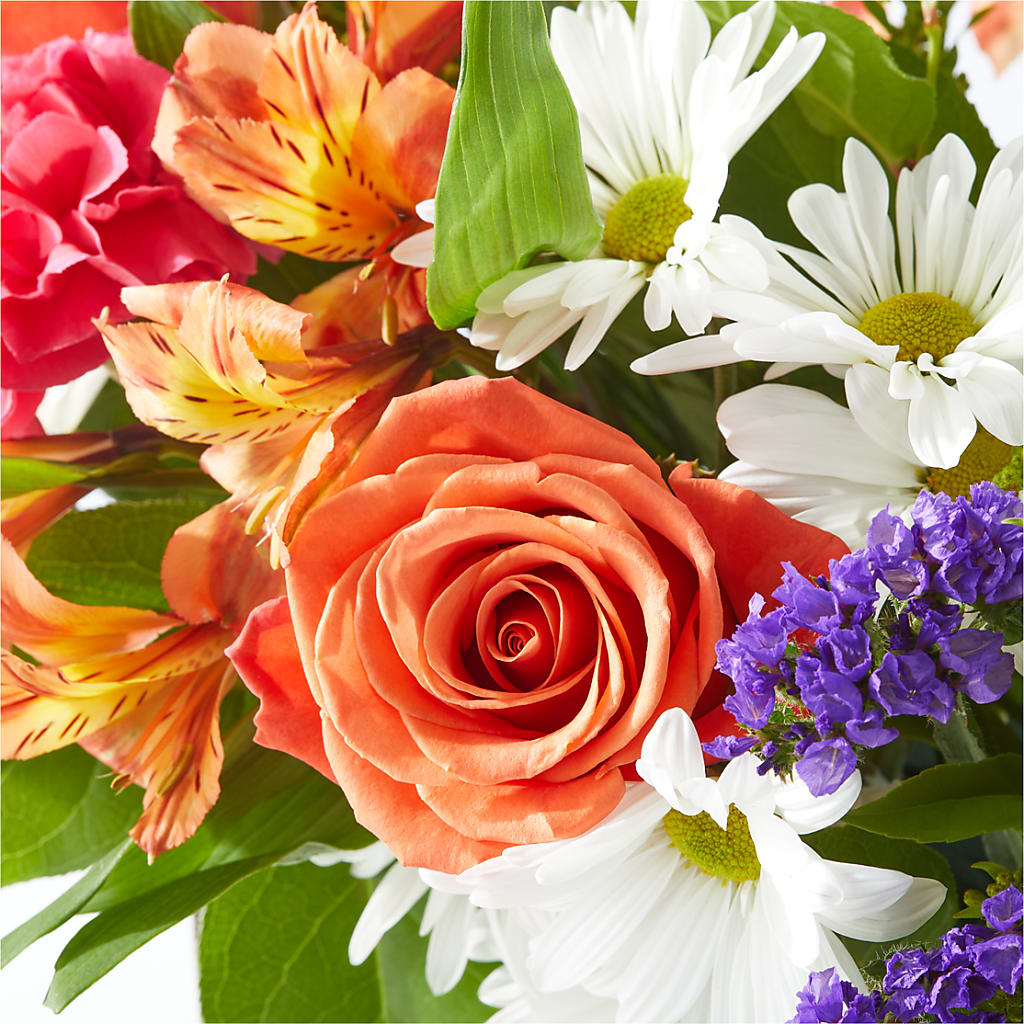 Oopsie Daisy Box Bouquet –  Flowers By Willie, Marshall TX