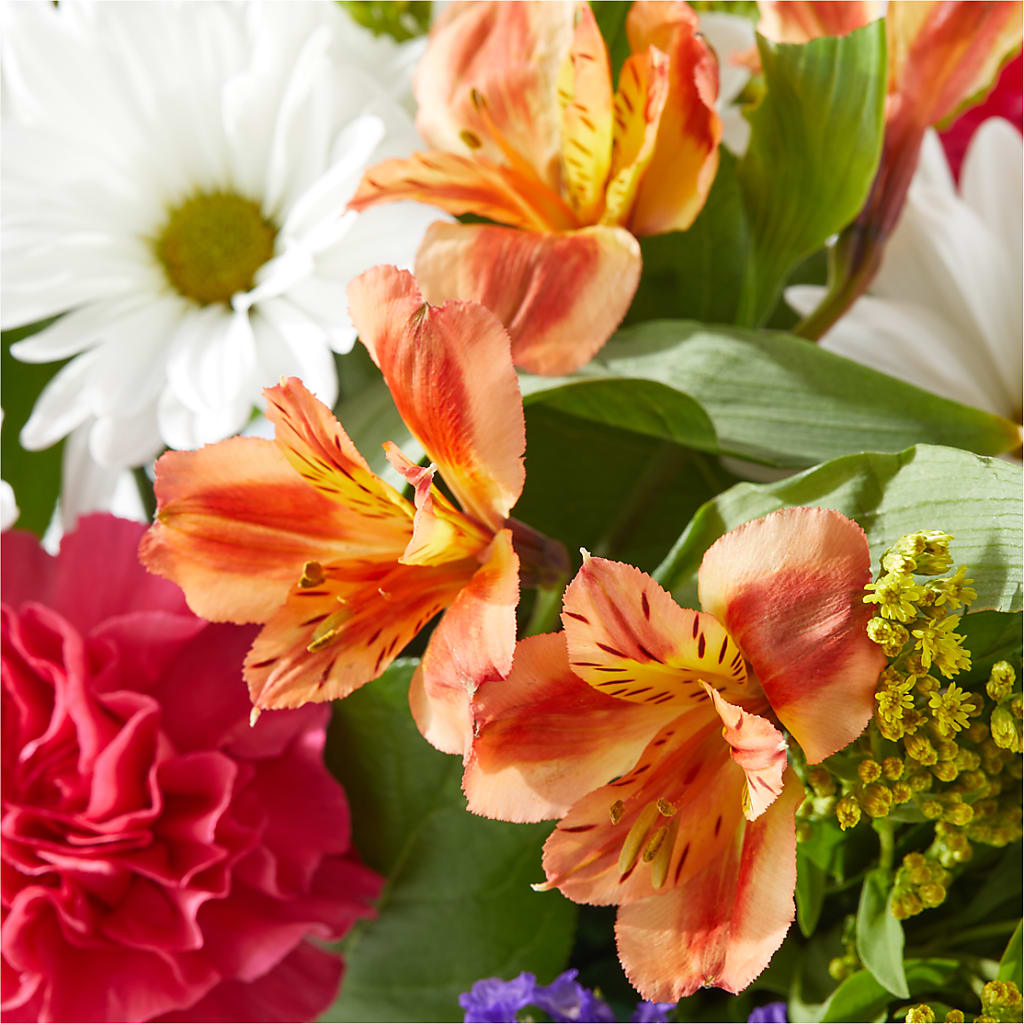 Oopsie Daisy Box Bouquet –  Flowers By Willie, Marshall TX
