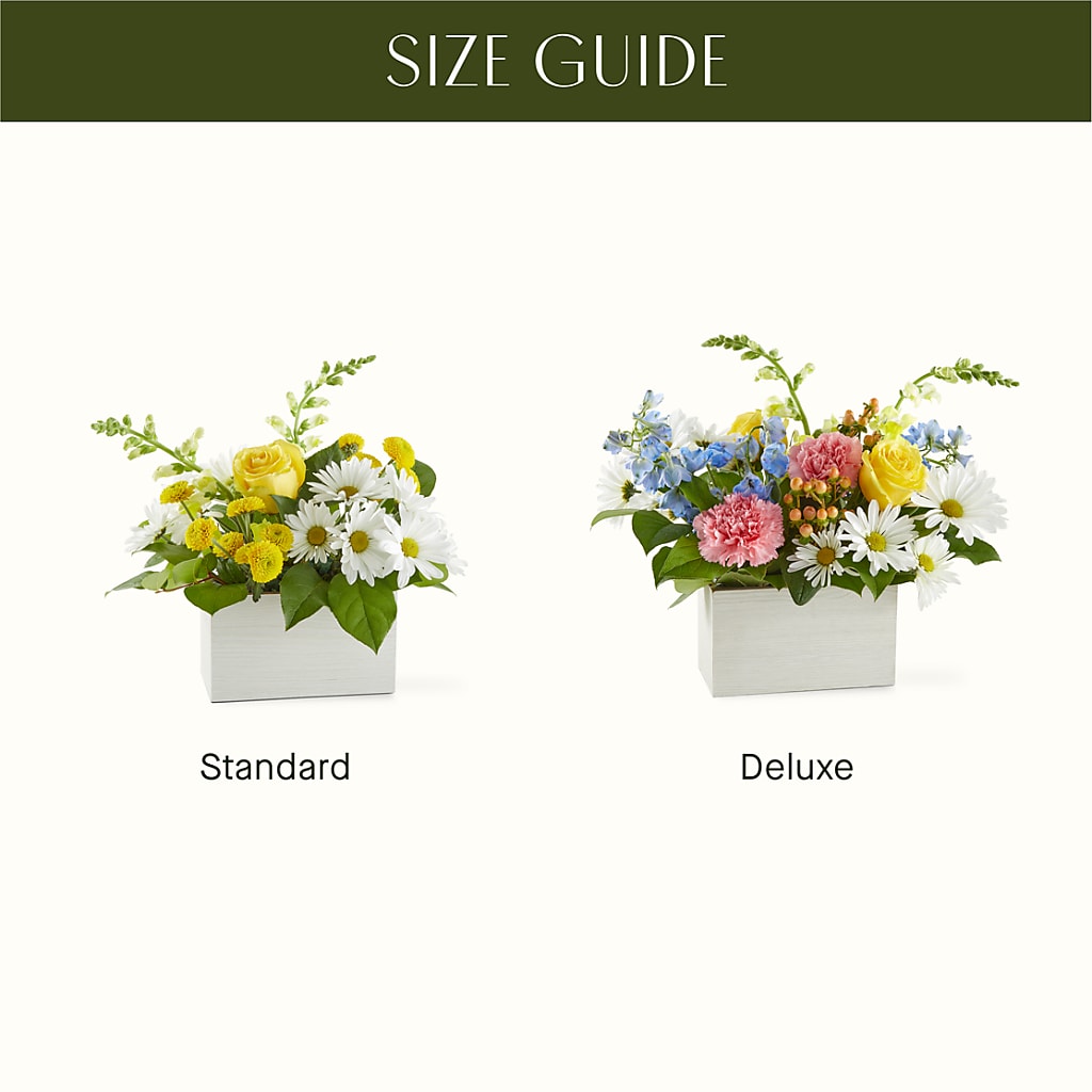 Sun Salutation Box Bouquet –  Flowers By Willie, Marshall TX