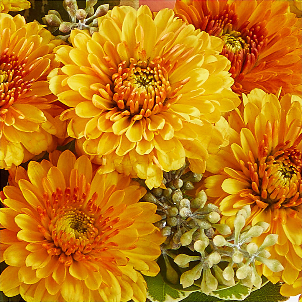 Peachy Pumpkin –  Flowers By Willie, Marshall TX