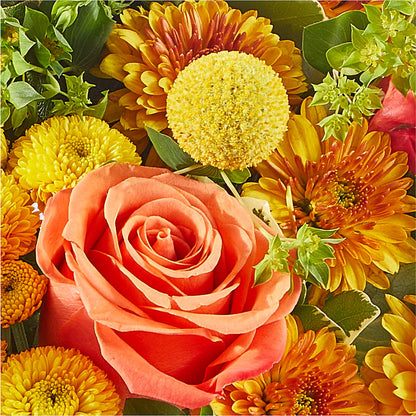 Gourdgeous Pumpkin –  Flowers By Willie, Marshall TX