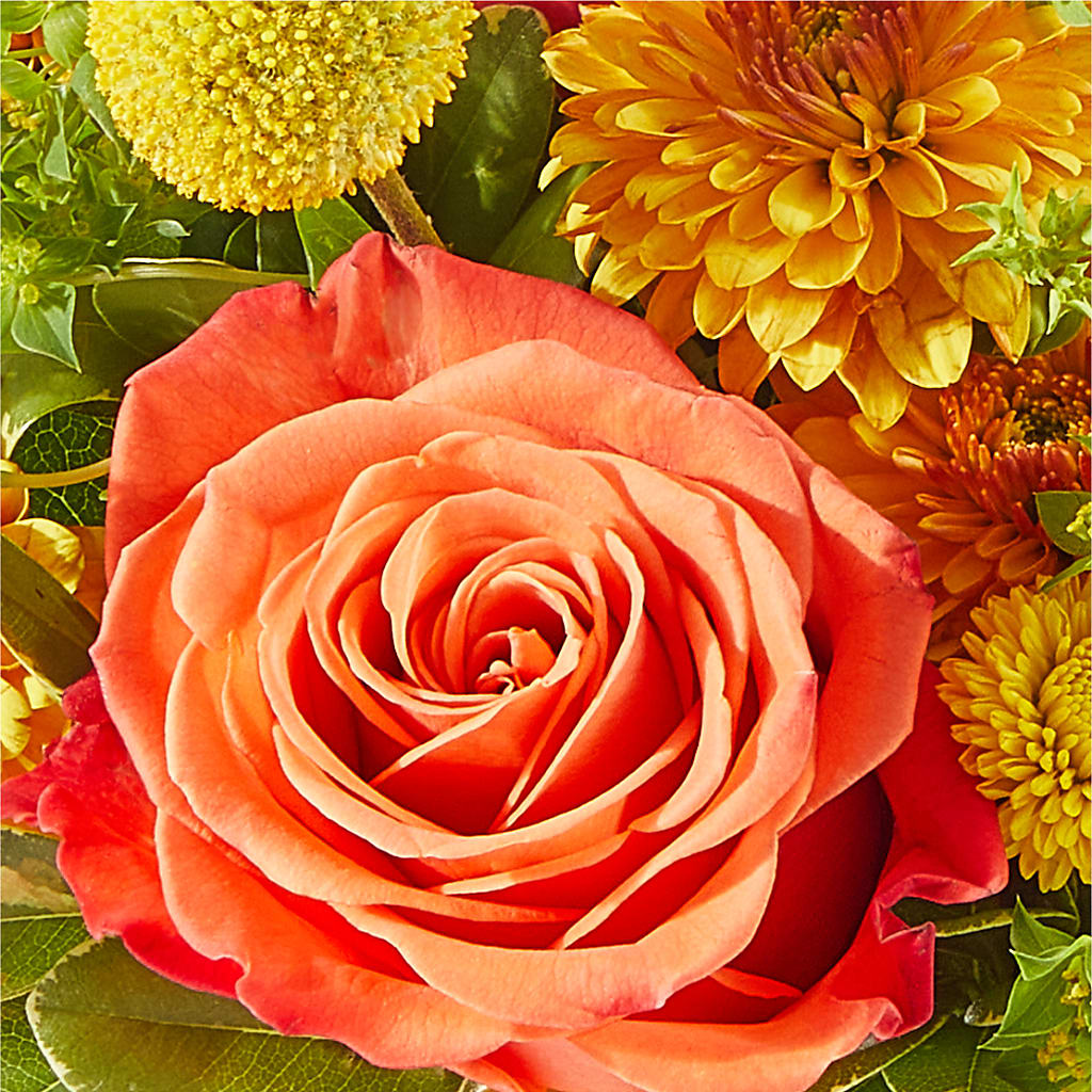 Gourdgeous Pumpkin –  Flowers By Willie, Marshall TX