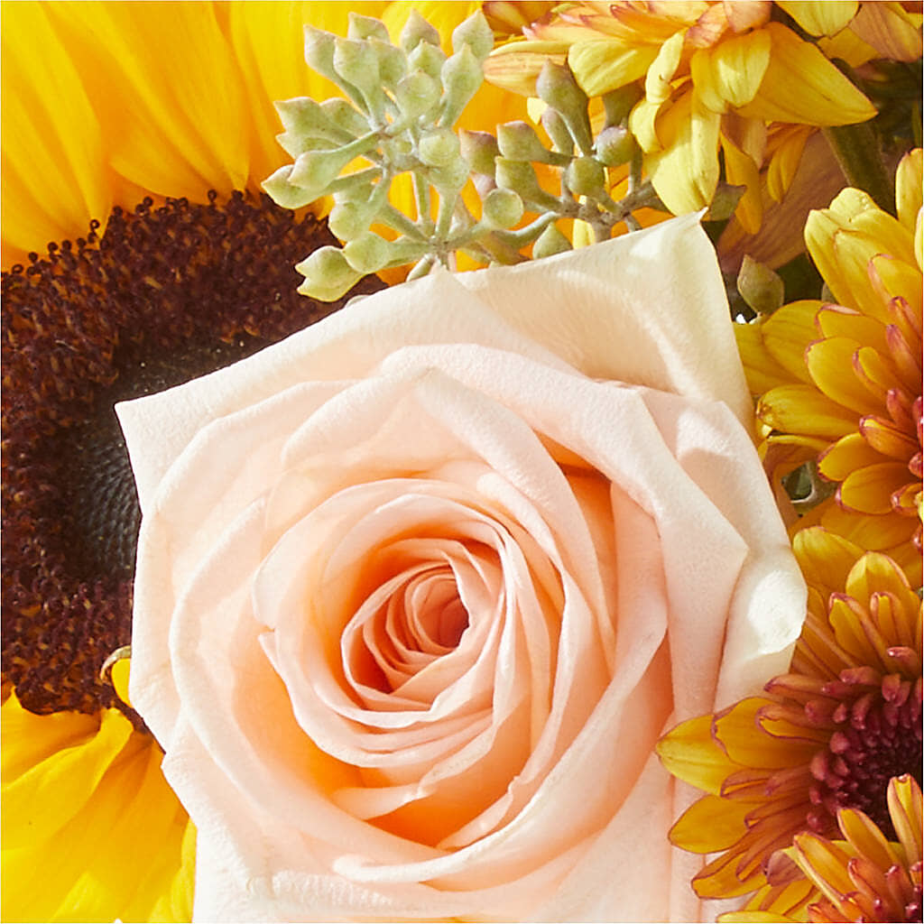 Pumpkin to Talk About Bouquet –  Flowers By Willie, Marshall TX