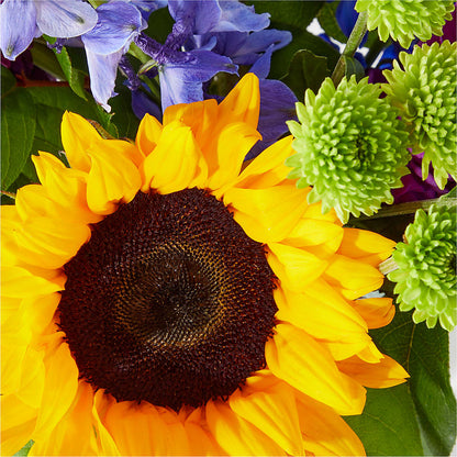 Catching Rays Bouquet –  Flowers By Willie, Marshall TX