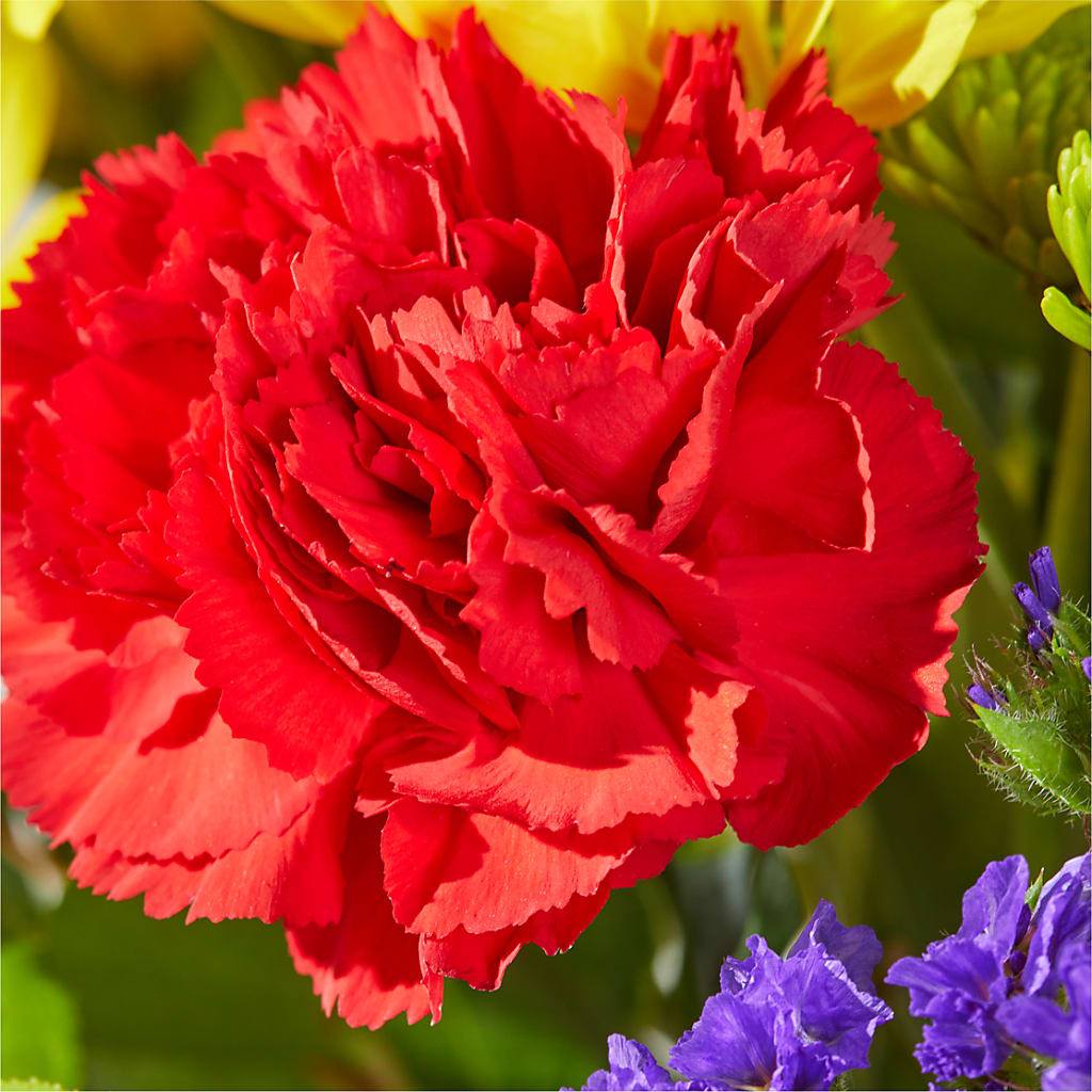 Brighter Days Bouquet –  Flowers By Willie, Marshall TX