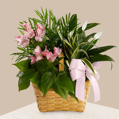 Living Spirit Dishgarden –  Flowers By Willie, Marshall TX