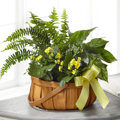 Always Dear Dishgarden –  Flowers By Willie, Marshall TX