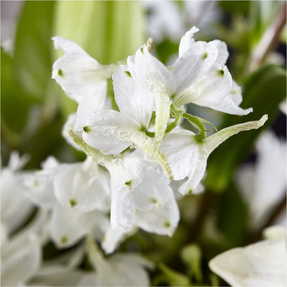 Classic Ivory – A Florist Original –  Flowers By Willie, Marshall TX