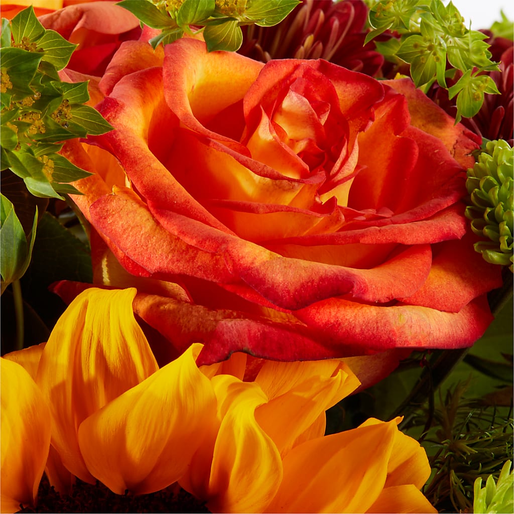 Harvest Festival Bouquet –  Flowers By Willie, Marshall TX