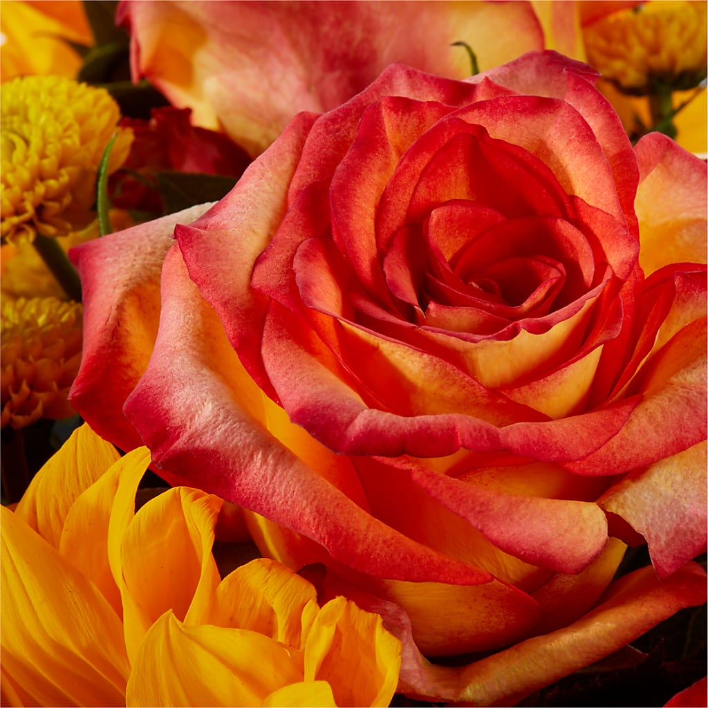 Picnic in the Park Bouquet –  Flowers By Willie, Marshall TX