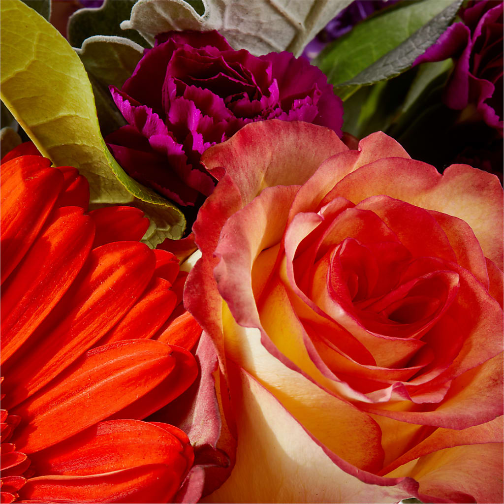 Sangria Bouquet –  Flowers By Willie, Marshall TX