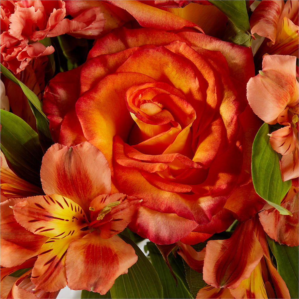 Apricot Glow Bouquet –  Flowers By Willie, Marshall TX
