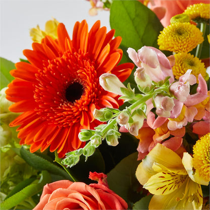 Autumn Sunshine Bouquet –  Flowers By Willie, Marshall TX