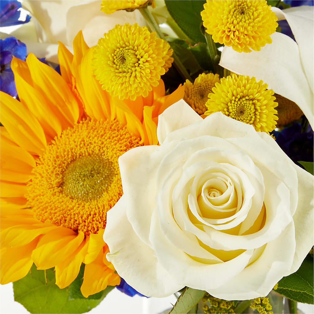 Stargazing Bouquet –  Flowers By Willie, Marshall TX