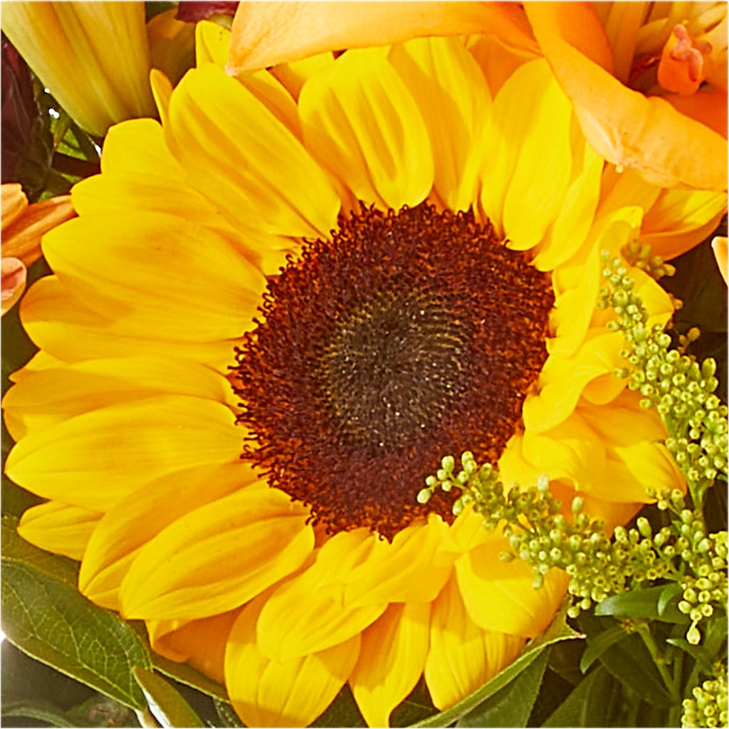 Seasons Change Bouquet –  Flowers By Willie, Marshall TX