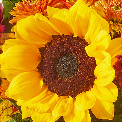 Sunny Side Bouquet –  Flowers By Willie, Marshall TX