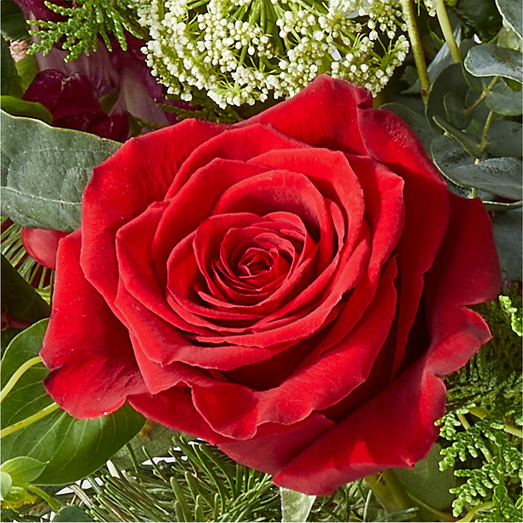 Cranberry Fizz Bouquet –  Flowers By Willie, Marshall TX