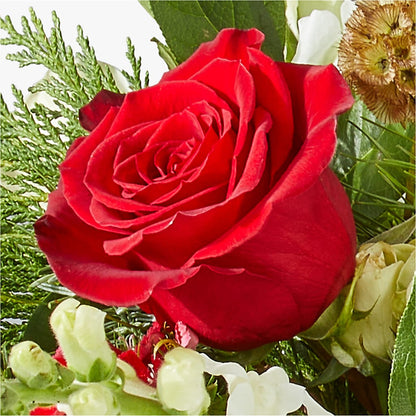 Deck the Halls Bouquet –  Flowers By Willie, Marshall TX