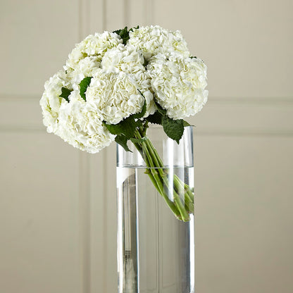White Hydrangea Hand-Tied Bouquet –  Flowers By Willie, Marshall TX
