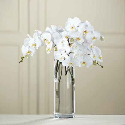 White Phalaenopsis Bouquet –  Flowers By Willie, Marshall TX